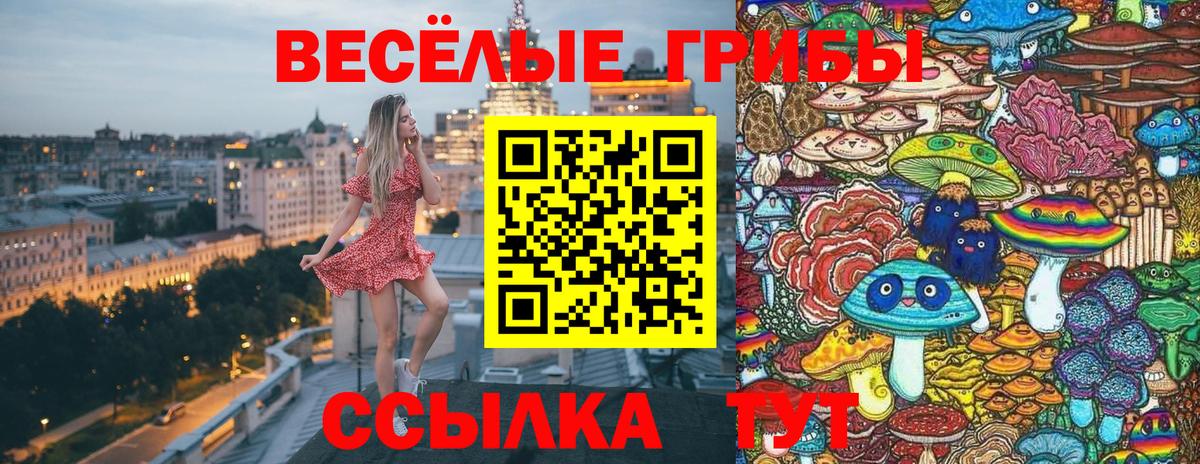 Кузнецк  Галлюциногенные грибы Magic Shrooms  Вход с VPN 
